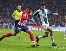 开云体育官方网址-2024nba季后赛